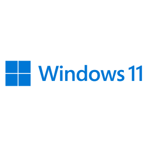 MICROSOFT SW MS WINDOWS 11 PRO 64BIT 1PK DSP OEI DVD