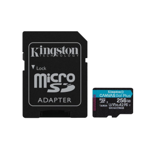 Kingston - Scheda di memoria flash (adattatore da microSDXC a SD in dotazione) - 256 GB - A2 / Video Class V30 / UHS-I U3 / Class10 - UHS-I microSDXC