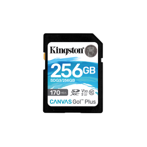 Kingston Canvas Go! Plus - Scheda di memoria flash - 256 GB - Video Class V30 / UHS-I U3 / Class10 - UHS-I SDXC